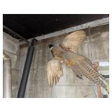 PHEASANT TAXIDERMY MOUNT