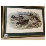 FRAMED AND MATTED DUCK PRINT