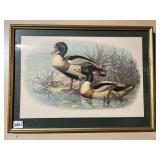 FRAMED AND MATTED DUCK PRINT