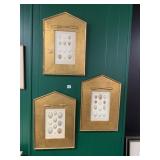VTG BIRD EGG PRINTS, GILT WOOD FRAMES, ARROWHEAD