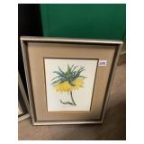 P. J. REDOUTE BOTANICAL PRINT, "FRITILLAIRE