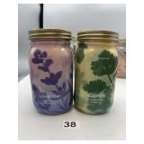 MODERN SPROUT HYDROPONIC GROW KITS, CILANTRO,