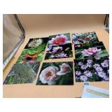 ASSORTED NATURE PHOTOGRAPHS, FLOWERS AND