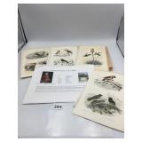 VTG BUFFON NATURAL HISTORY BIRD PRINTS,