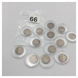 13 BUFFALO NICKLES