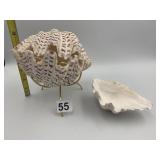 GIANT CLAM SHELL, NATURAL, ON BRASS STAND, W/