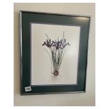 FRAMED BOTANICAL PRINT, LIMITED EDITION 245/500,