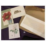 DOROTHY FOWLER EMBOSSED PRINT, BUTTON BUTTON