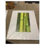 JEFF WALTER PHOTOGRAPHIC PRINT, MAUI BAMBOO,