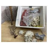ASSORTED NATURAL CORAL SPECIMENS, FAN CORAL,