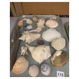 ASSORTED SEASHELLS, CORAL FRAGMENTS, HAND-PAINTED
