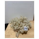 NATURAL WHITE CORAL SPECIMEN.