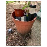 GARDEN ASSORTMENT, PLASTIC PLANTER, SOLAR PATH