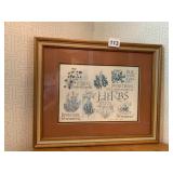 SHARON NOLIN CALLIGRAPHY & DESIGN, HERB