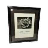 ANSEL ADAMS ROSE AND DRIFTWOOD PRINT, BLACK AND