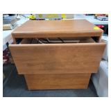 2 DRAWER LATERAL FILE CABINET W/SAMSUNG VHS/DVD