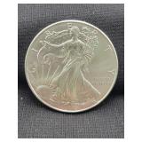 2013 SILVER EAGLE