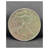 2013 SILVER EAGLE