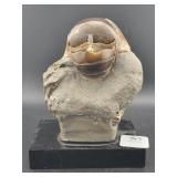 S.D. AMMONITE STATUE