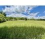 COX ESTATE- 56+/- AC E RACCOON VALLEY & 21+/- AC E BULLRUN
