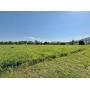 110 MANS HOLLOW ROAD, KINGSTON, TN  37763