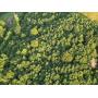 NORRIS LAKE VIEW LOT - EAGLES COVE PARKWAY MAYNARDVILLE, TN