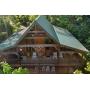 4118 DOLLY'S DRIVE, SEVIERVILLE, TN  37876