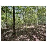 LOT 1 | 1.43+/- ACRES