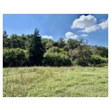 LOT 7 | 7.04+/- ACRES
