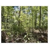 LOT 5 | 8.62+/- ACRES