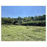 LOT 6 | 7.82+/- ACRES