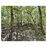 LOT 4 | 7.66+/- ACRES
