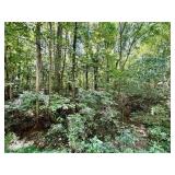 LOT 3 | 5.09+/- ACRES