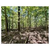 LOT 2 | 1.43+/- ACRES