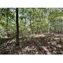 39+/- ACRES IN 7 TRACTS - RANDOLPH FRIDLEY RD., SWEETWATER,