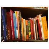 20 RELIGIOUS BOOKS