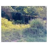 1190 WILKERSON ROAD, MOSHEIM, TN  37818