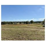TRACT 1 - YELLOW SPRINGS RD., MIDWAY, TN  37809