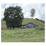 TRACT 2 - YELLOW SPRINGS RD., MIDWAY, TN  37809
