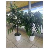 QTY OF 2- DECOR POTTED PLANTS