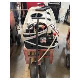 CARTED PRESSURE WASHER