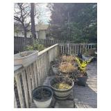 ALL FLOWER PLANTER POTS ON BACK PORCH