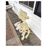 SKELETON DOG, FISH, CAT, ETC.