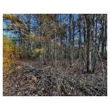 LOT 9 - GEORGE DRIVE