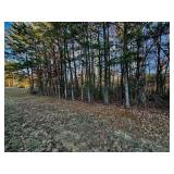 LOT 11 - GEORGE DRIVE