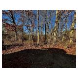 LOT 2 - FOUR MILE CREEK ROAD