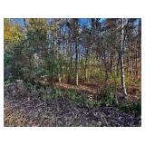 LOT 8 - GEORGE DRIVE