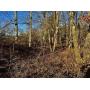 10 LOTS IN FOUR MILE CREEK FARMS-DEER LODGE TN 37726