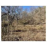 123 WATAUGA AVENUE, KNOXVILLE, TN  37917