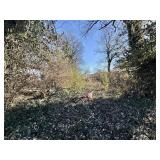 1248 IREDELL AVENUE, KNOXVILLE, TN  37921